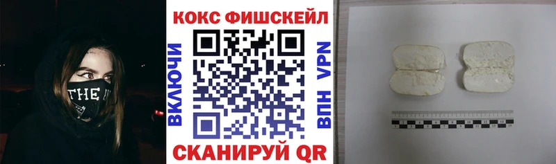 КОКАИН FishScale  Купить закладки  Кашин 