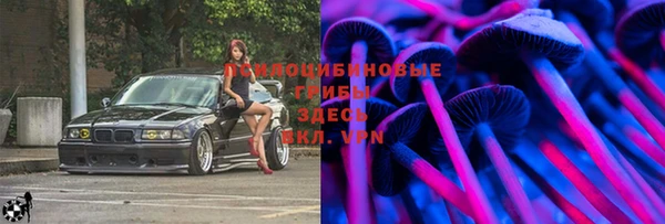 первитин Козельск