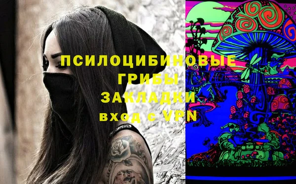 a pvp Кодинск