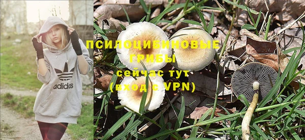 a pvp Кодинск