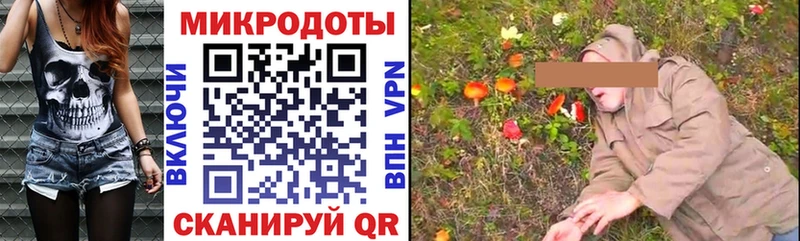 Псилоцибиновые грибы мицелий Кашин